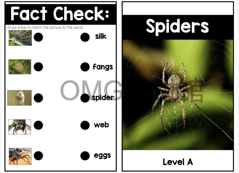 Nonfiction Readers (Levels A-D)Set 1 Animal Topics_inside_01.jpg
