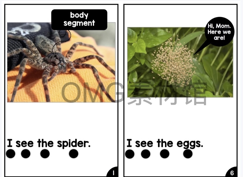 Nonfiction Readers (Levels A-D)Set 1 Animal Topics_inside_02.jpg