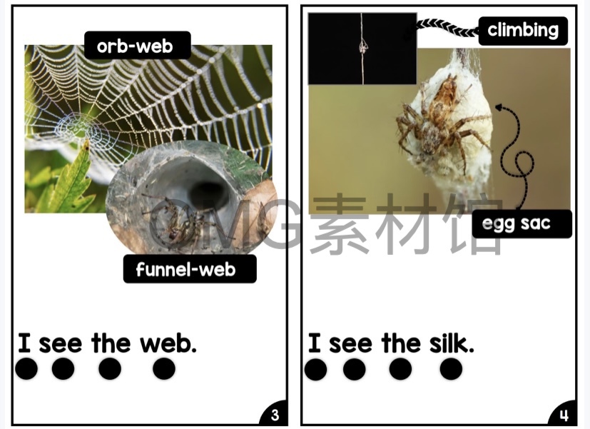 Nonfiction Readers (Levels A-D)Set 1 Animal Topics_inside_04.jpg
