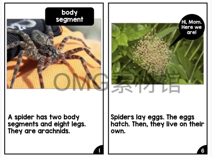 Nonfiction Readers (Levels A-D)Set 1 Animal Topics_inside_10.jpg