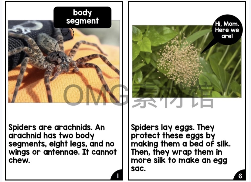 Nonfiction Readers (Levels A-D)Set 1 Animal Topics_inside_14.jpg