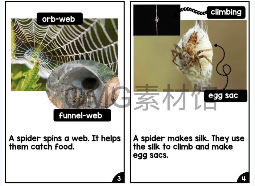 Nonfiction Readers (Levels A-D)Set 1 Animal Topics_inside_11.jpg