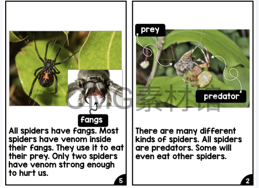 Nonfiction Readers (Levels A-D)Set 1 Animal Topics_inside_15.jpg