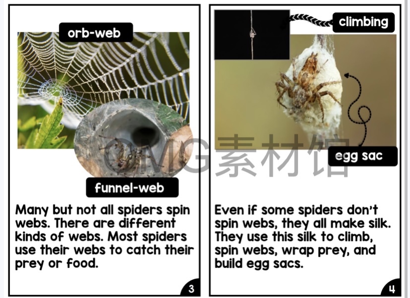 Nonfiction Readers (Levels A-D)Set 1 Animal Topics_inside_16.jpg