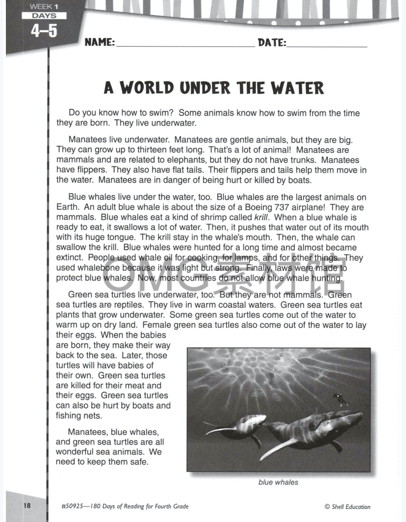 Reading 4_inside_04.jpg