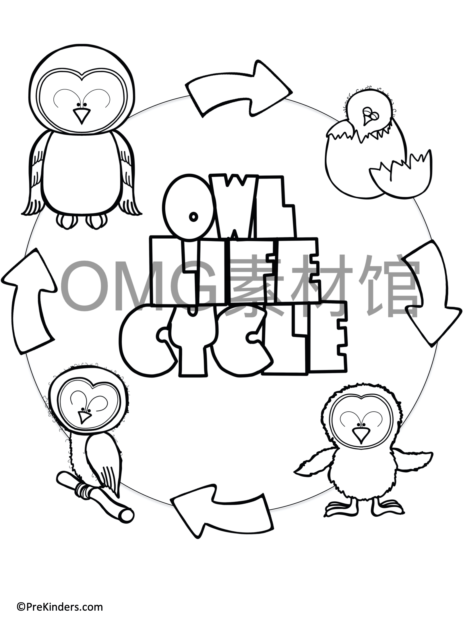 1.Owl Life Cycle _ Fall Science _ Preschool Pre-K_inside_02.jpg