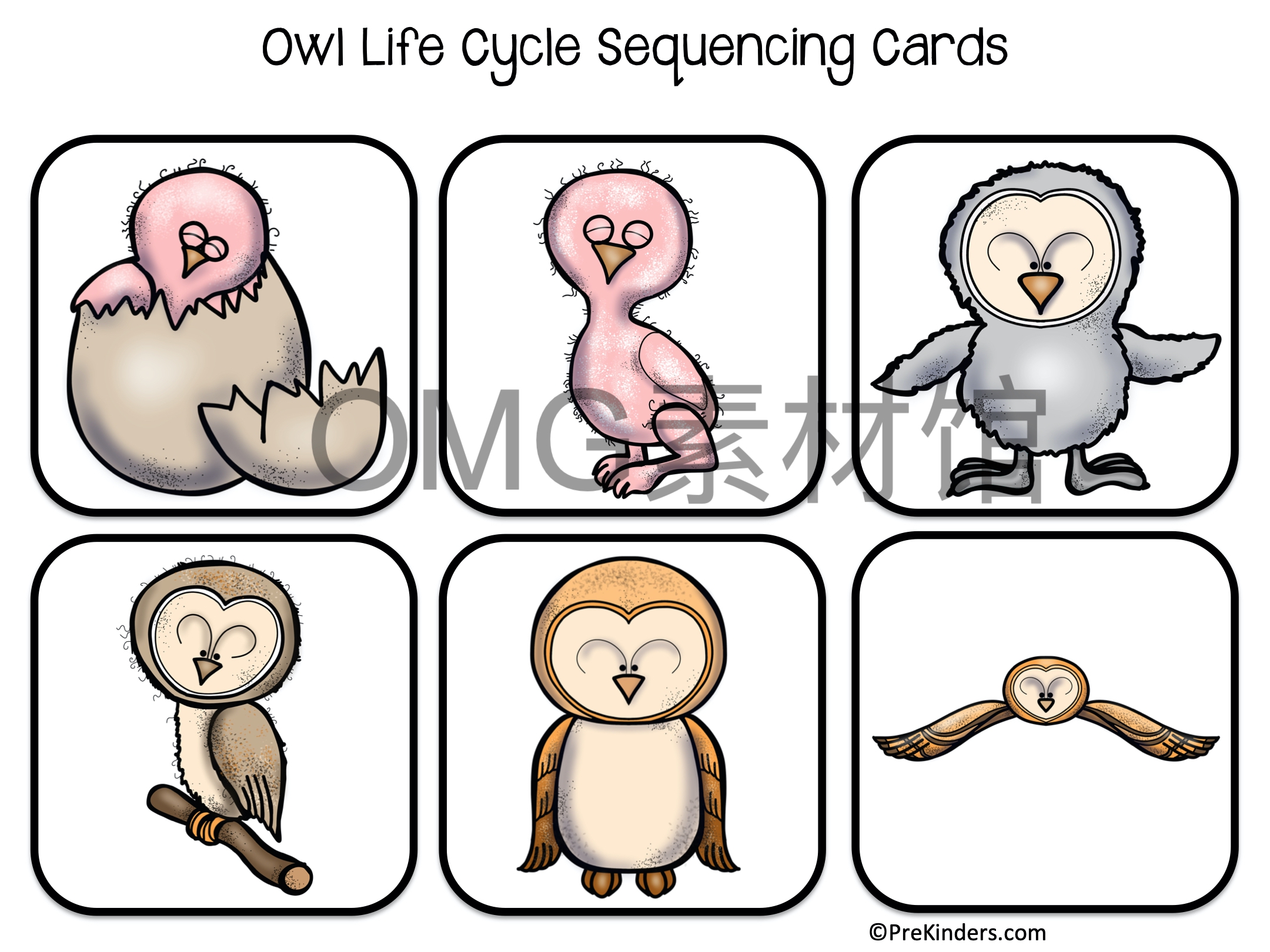 1.Owl Life Cycle _ Fall Science _ Preschool Pre-K_inside_03.jpg