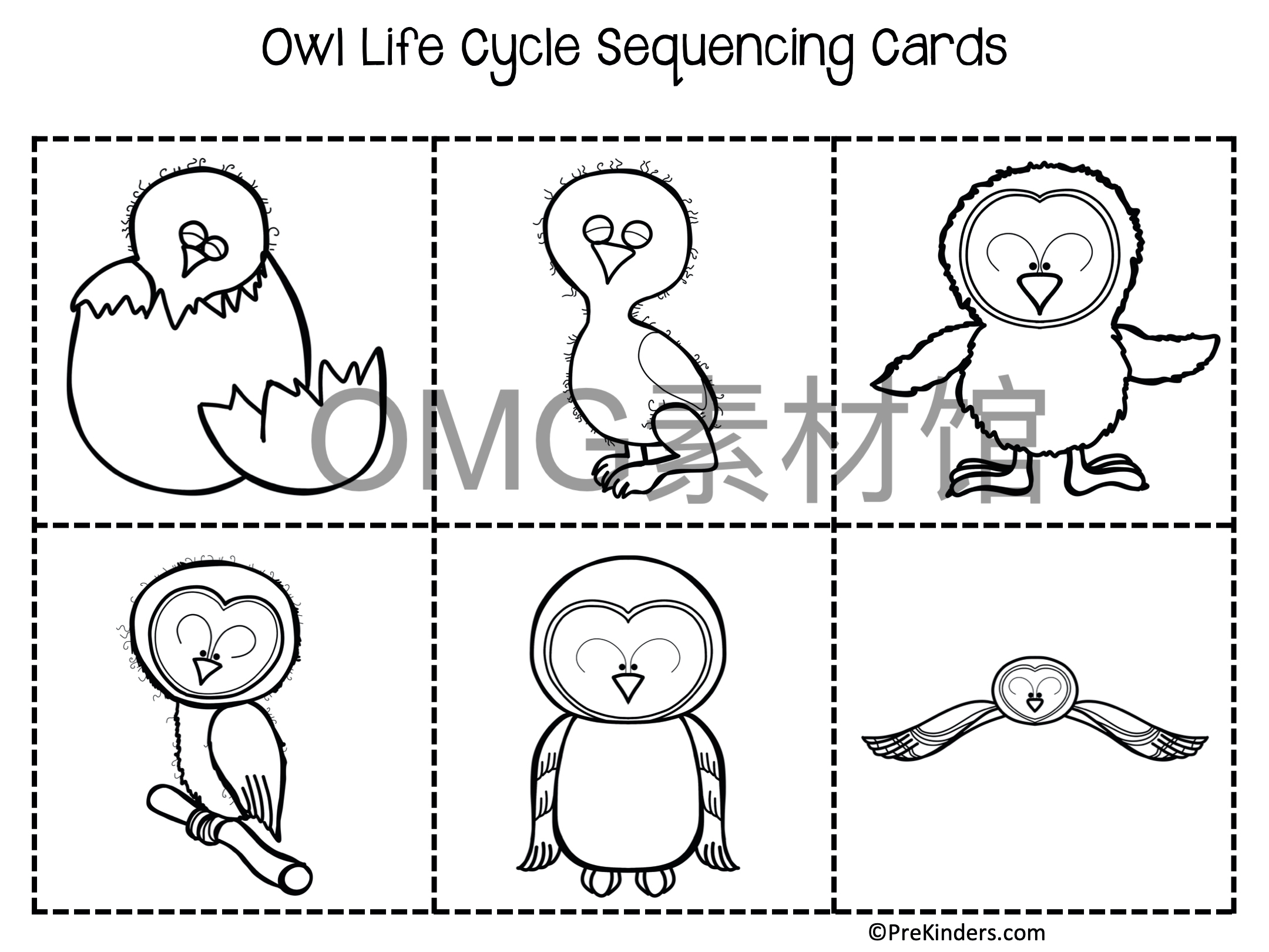 1.Owl Life Cycle _ Fall Science _ Preschool Pre-K_inside_05.jpg