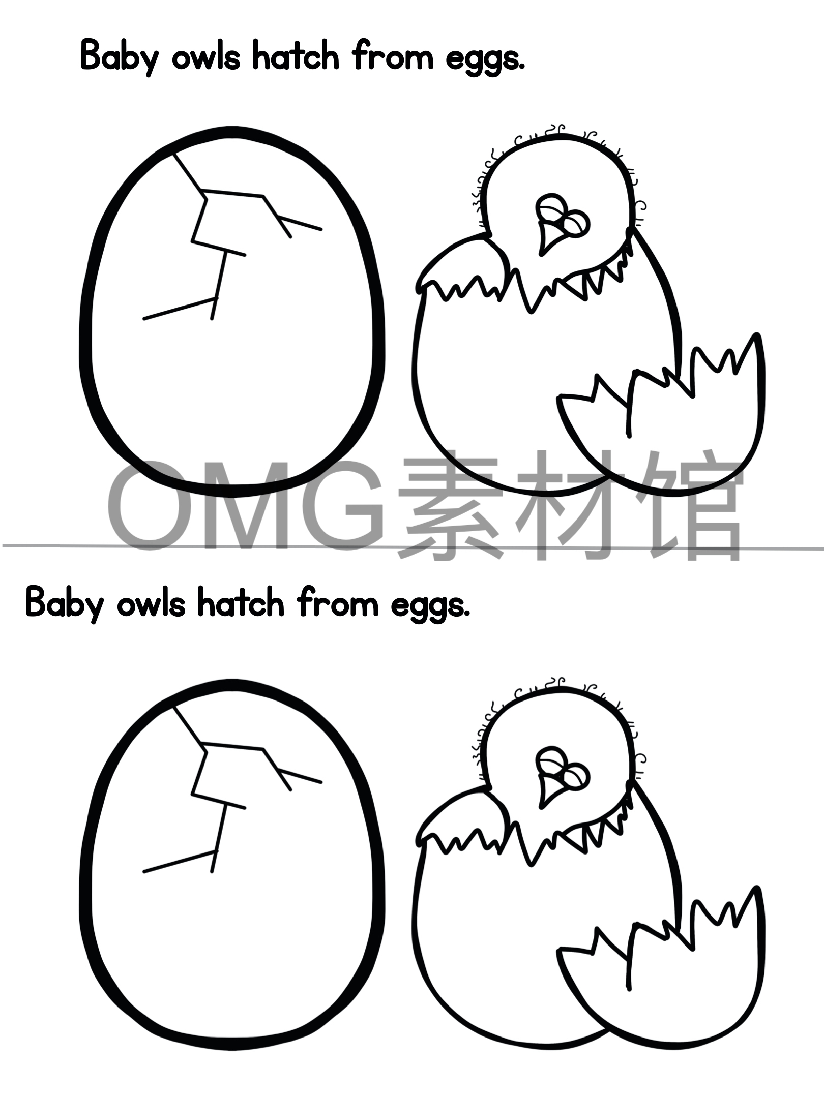 1.Owl Life Cycle _ Fall Science _ Preschool Pre-K_inside_09.jpg