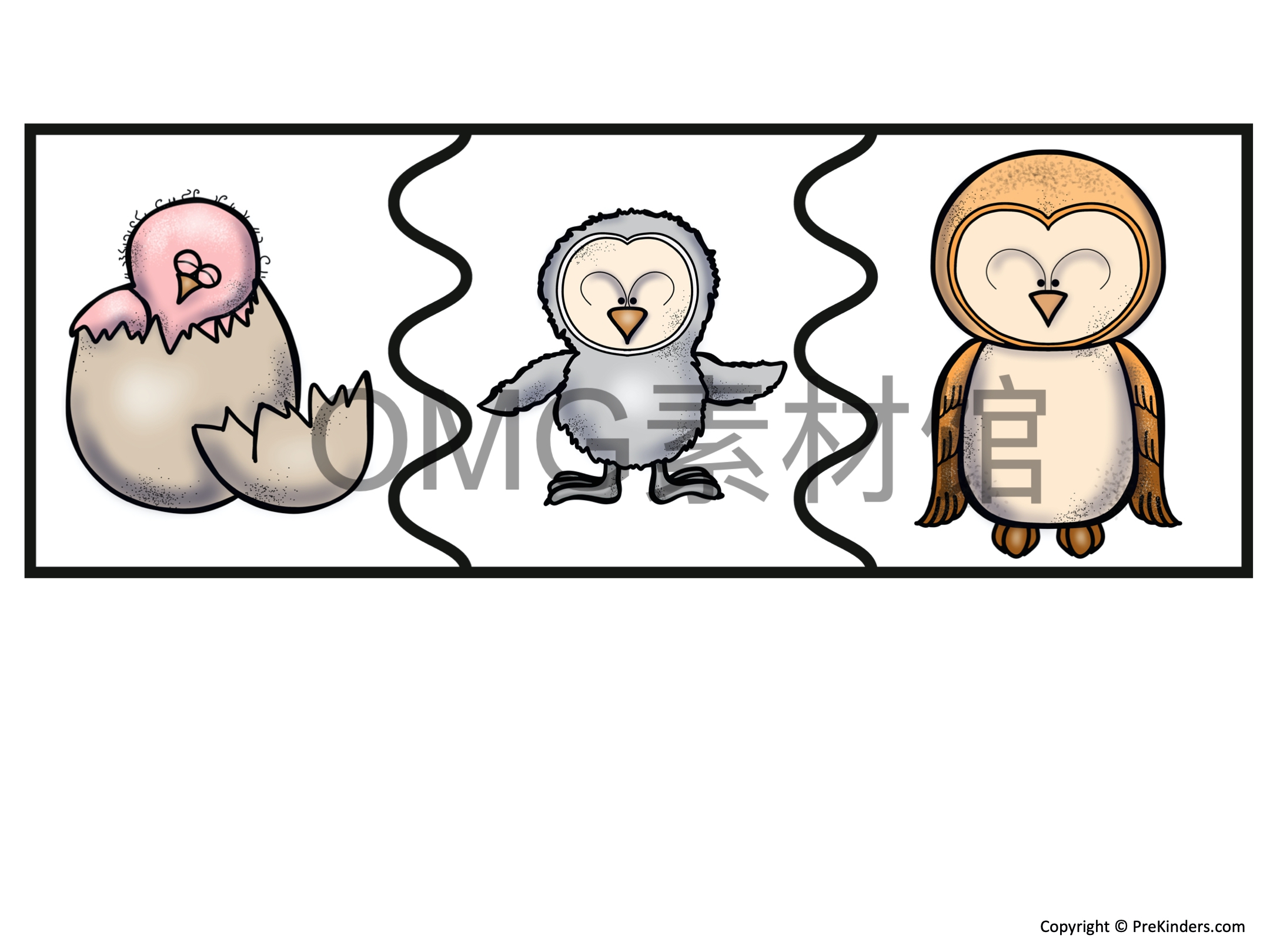 1.Owl Life Cycle _ Fall Science _ Preschool Pre-K_inside_07.jpg