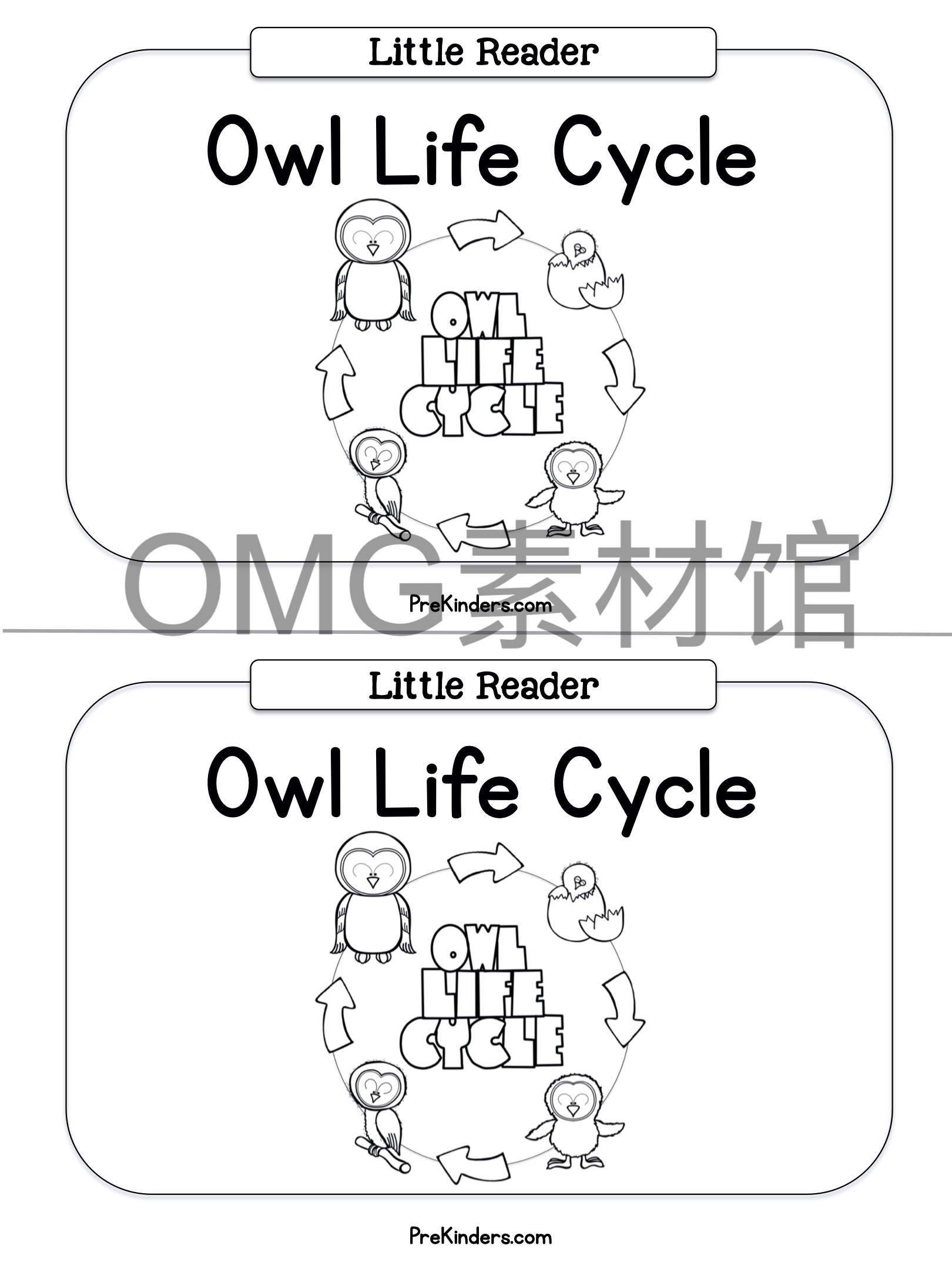 1.Owl Life Cycle _ Fall Science _ Preschool Pre-K_inside_08.jpg