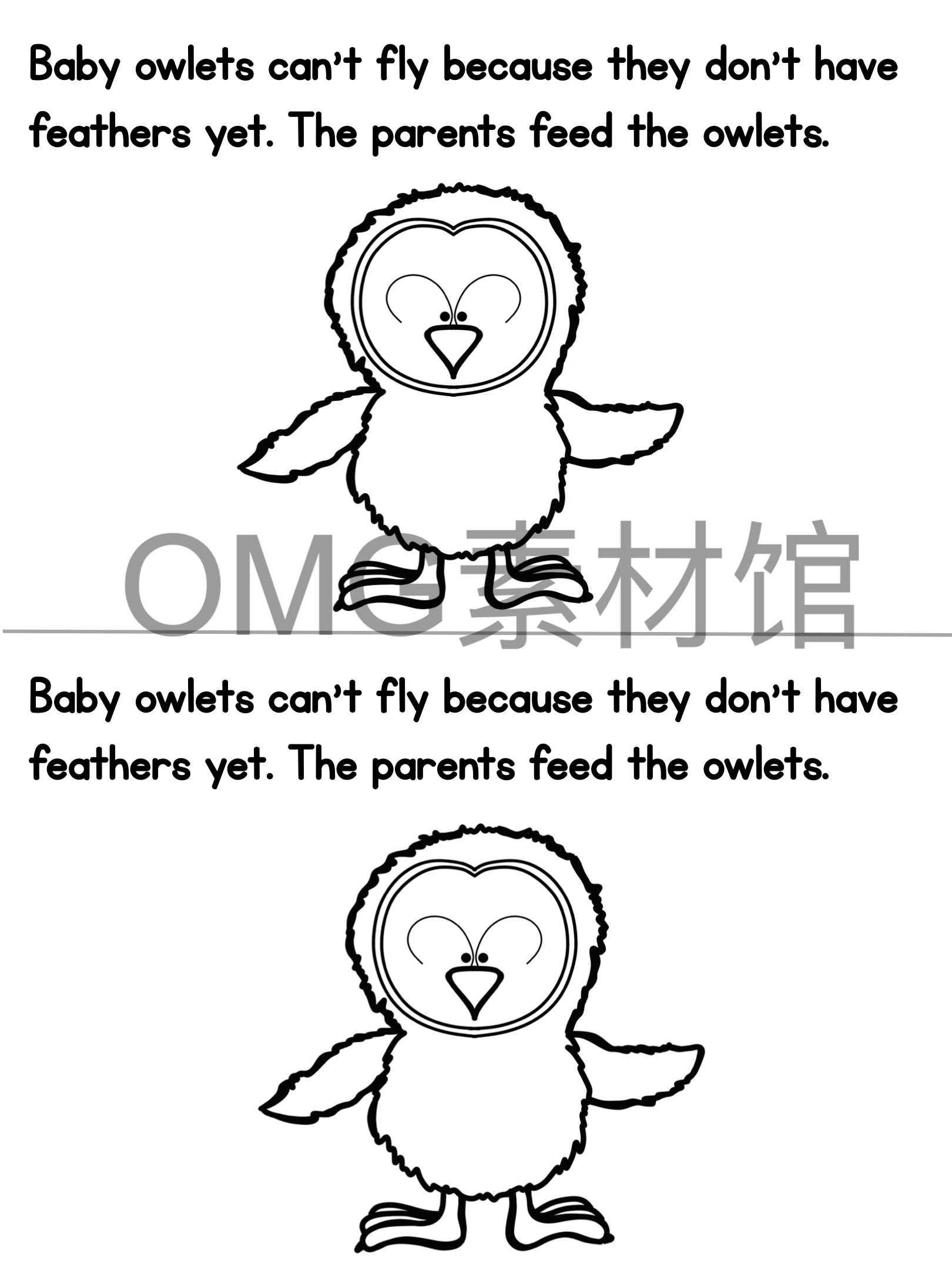 1.Owl Life Cycle _ Fall Science _ Preschool Pre-K_inside_11.jpg