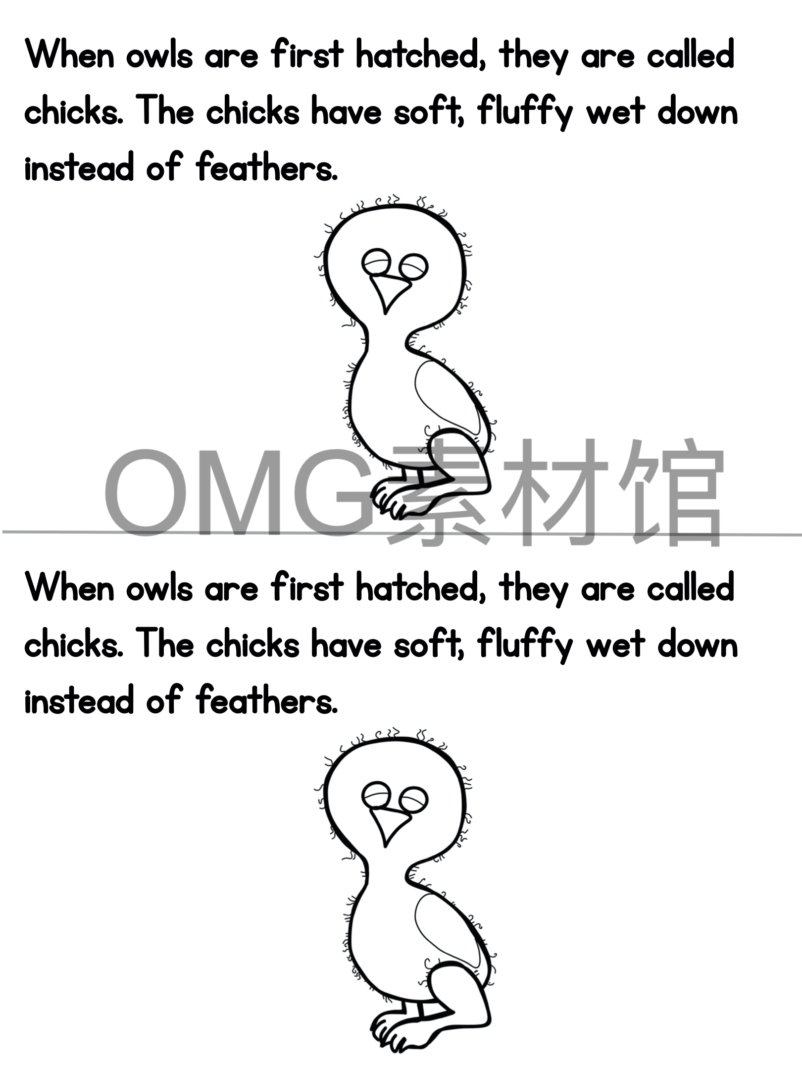 1.Owl Life Cycle _ Fall Science _ Preschool Pre-K_inside_10.jpg