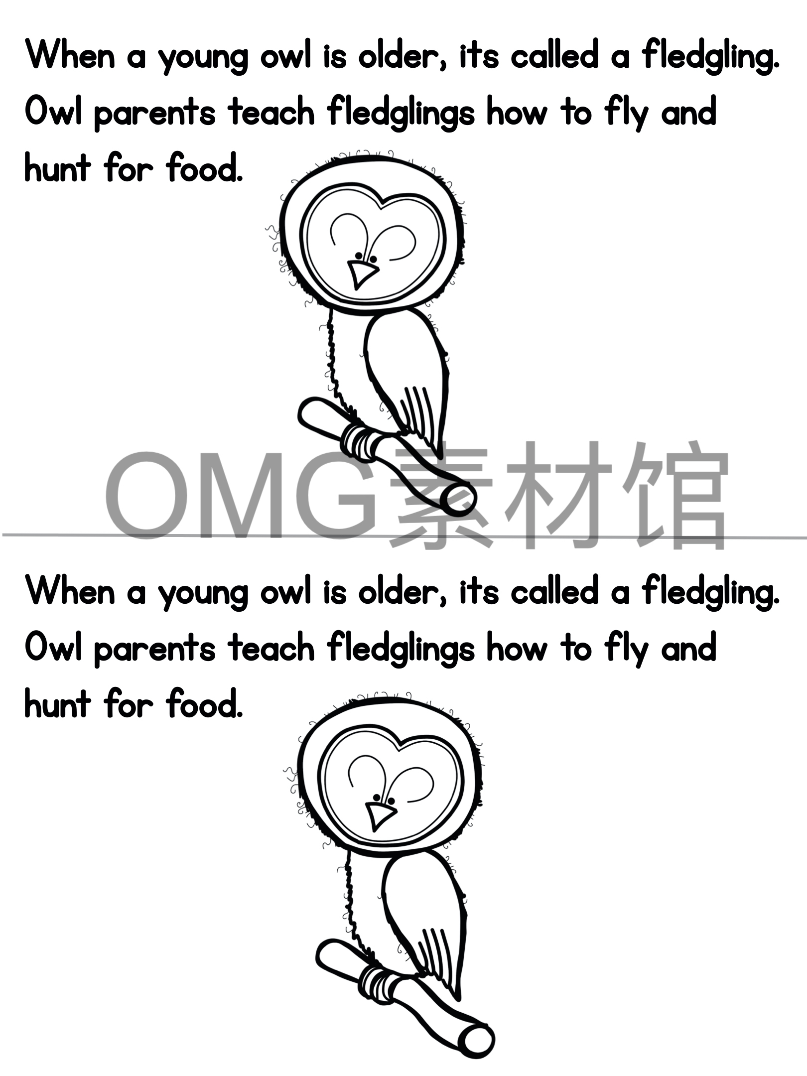 1.Owl Life Cycle _ Fall Science _ Preschool Pre-K_inside_12.jpg