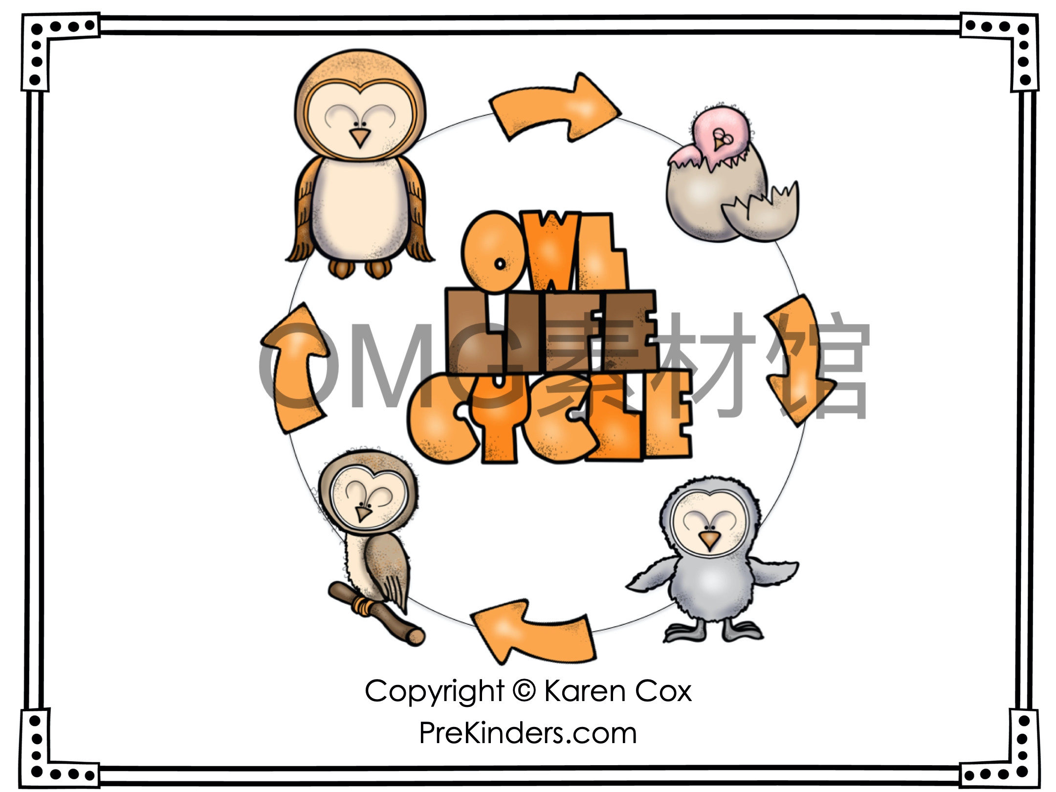 1.Owl Life Cycle _ Fall Science _ Preschool Pre-K_inside_14.jpg