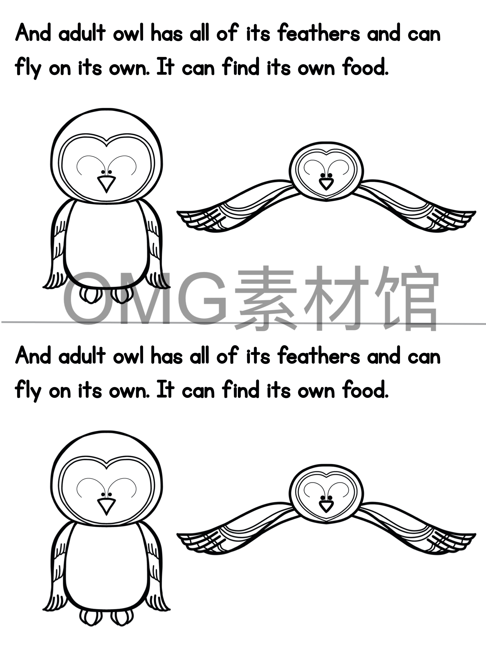 1.Owl Life Cycle _ Fall Science _ Preschool Pre-K_inside_13.jpg