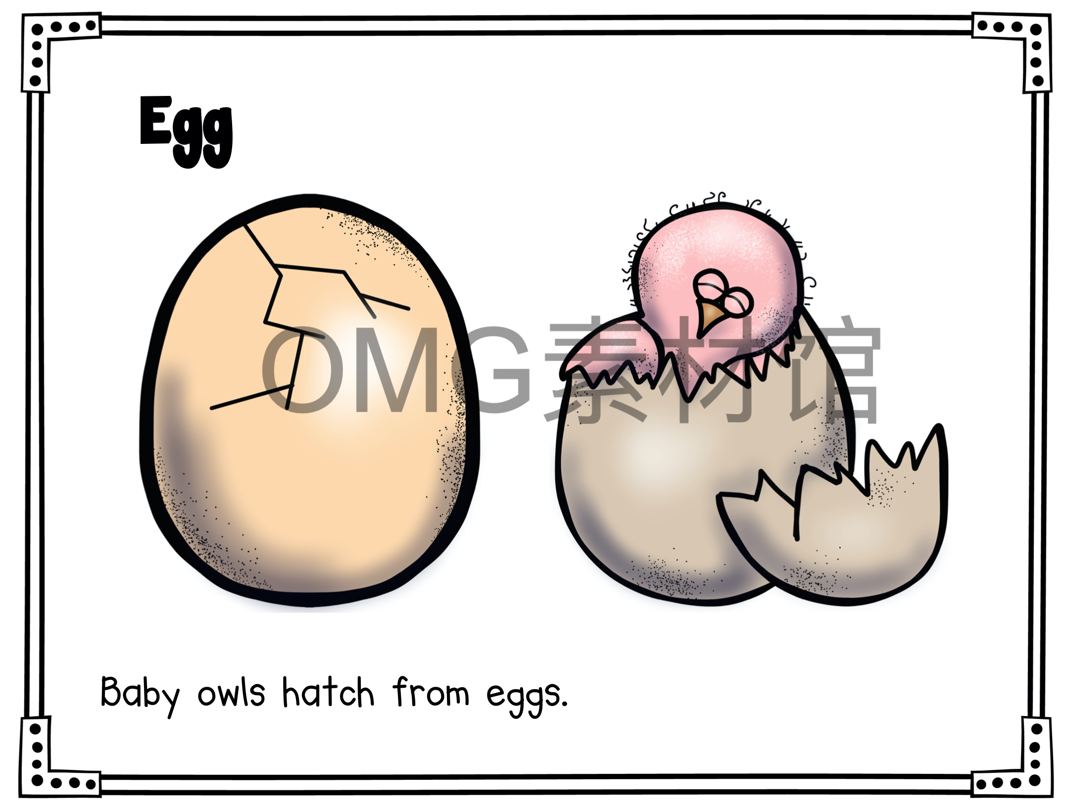1.Owl Life Cycle _ Fall Science _ Preschool Pre-K_inside_15.jpg