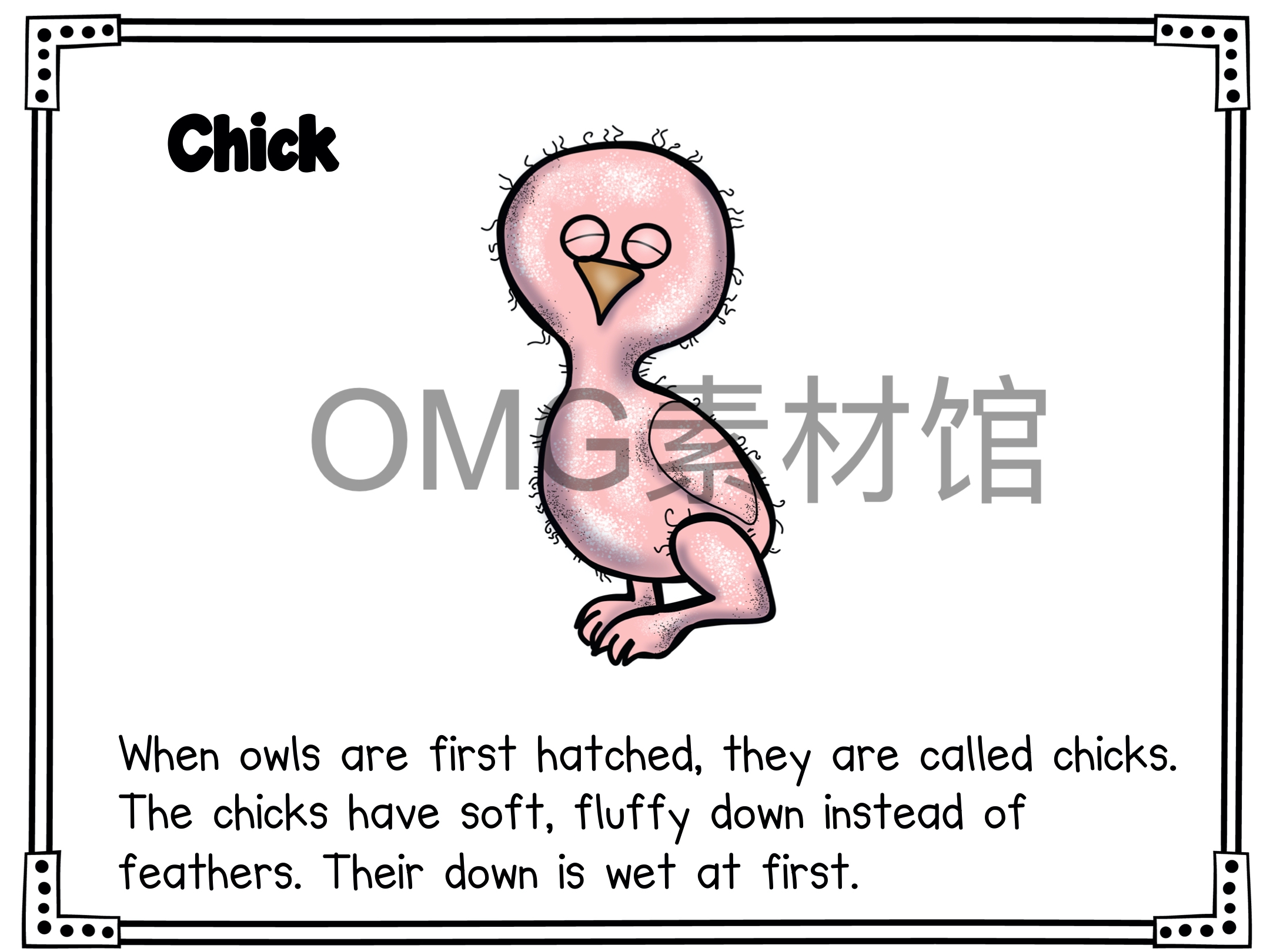 1.Owl Life Cycle _ Fall Science _ Preschool Pre-K_inside_16.jpg