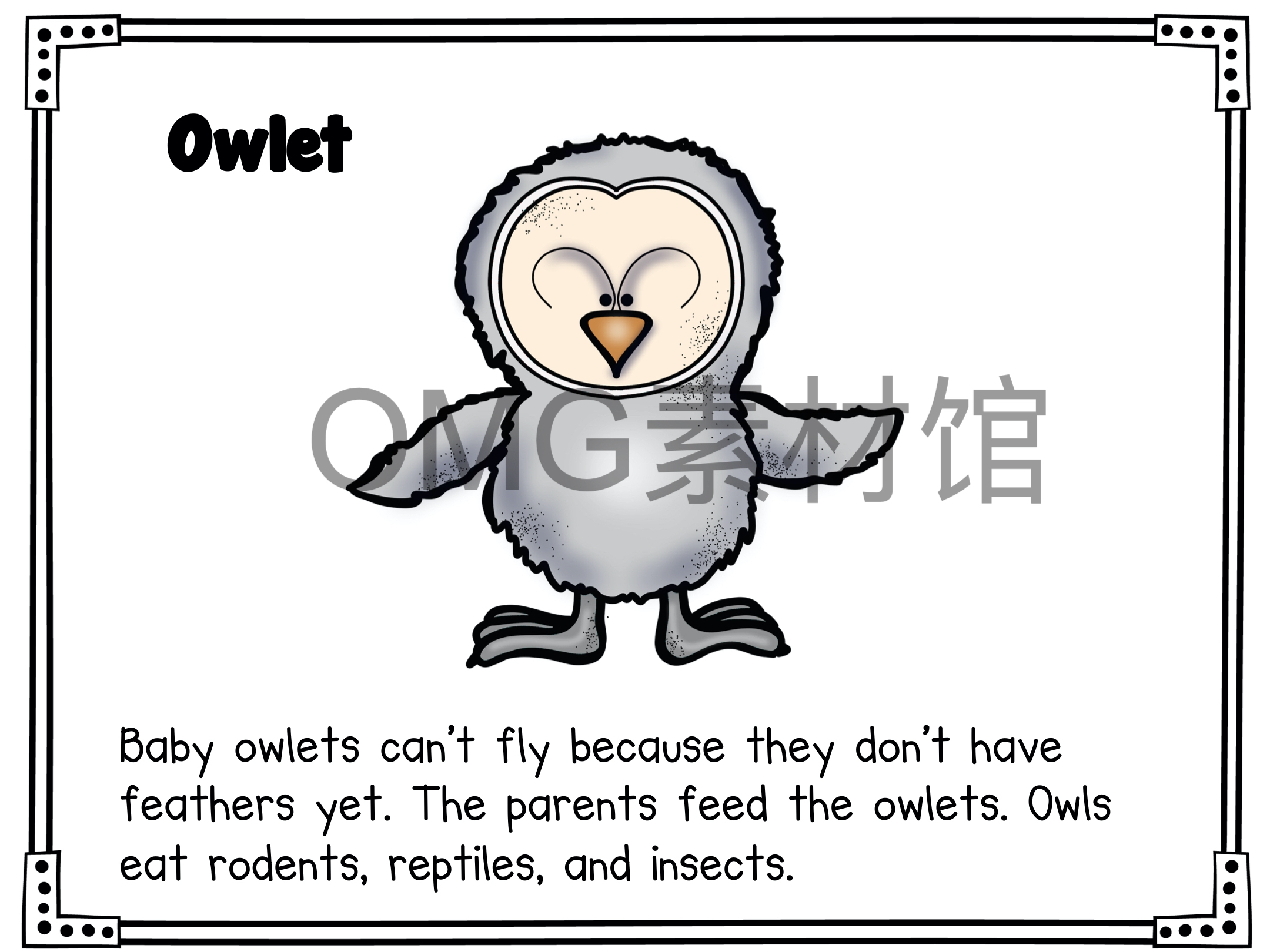 1.Owl Life Cycle _ Fall Science _ Preschool Pre-K_inside_17.jpg
