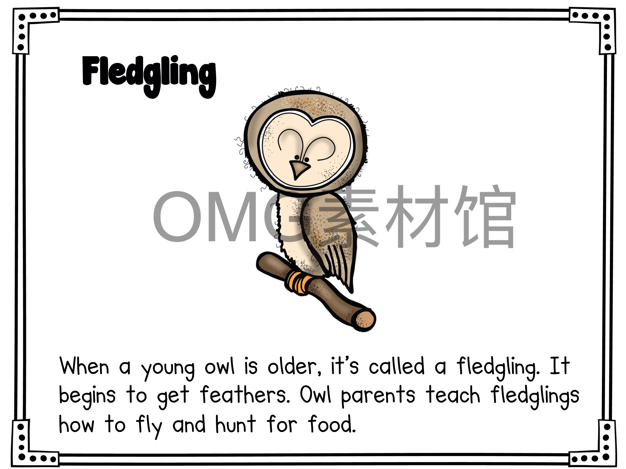 1.Owl Life Cycle _ Fall Science _ Preschool Pre-K_inside_18.jpg