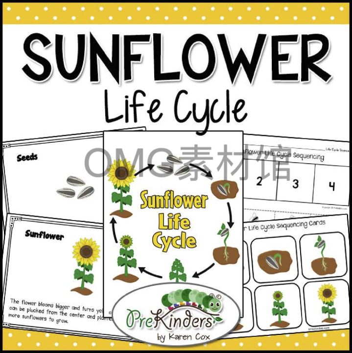 6.Sunflower Life Cycle Science _ Preschool Pre-K_cover.png