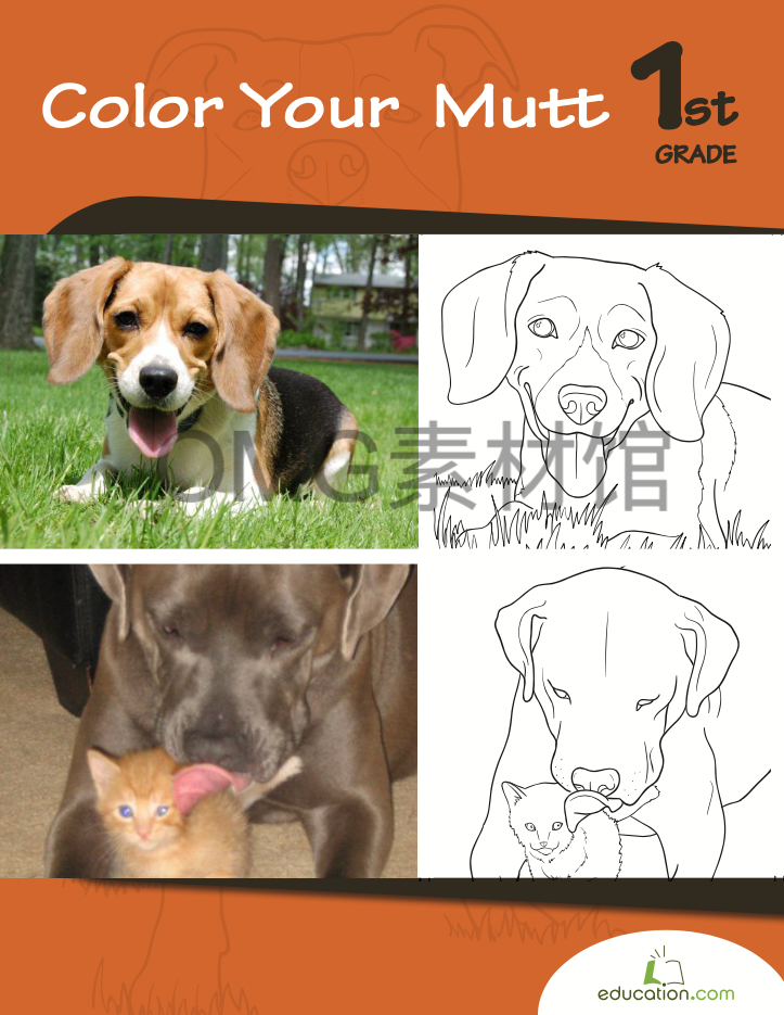 color-the-mutts-workbook_cover.png