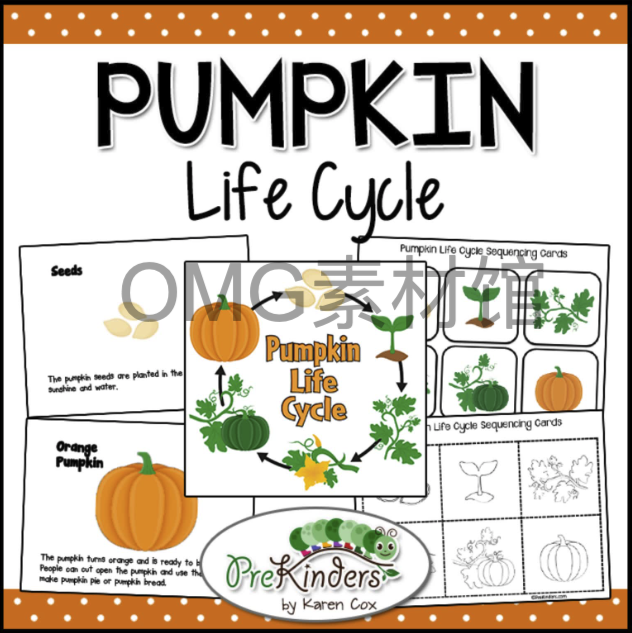 A01-07-5.Pumpkin Life Cycle _ Fall Science _ Preschool Pre-K_cover.png