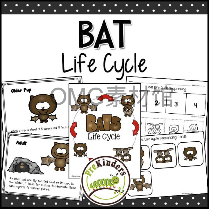 A01-07-3.Bat Life Cycle _ Fall Science _ Preschool Pre-K_cover.png