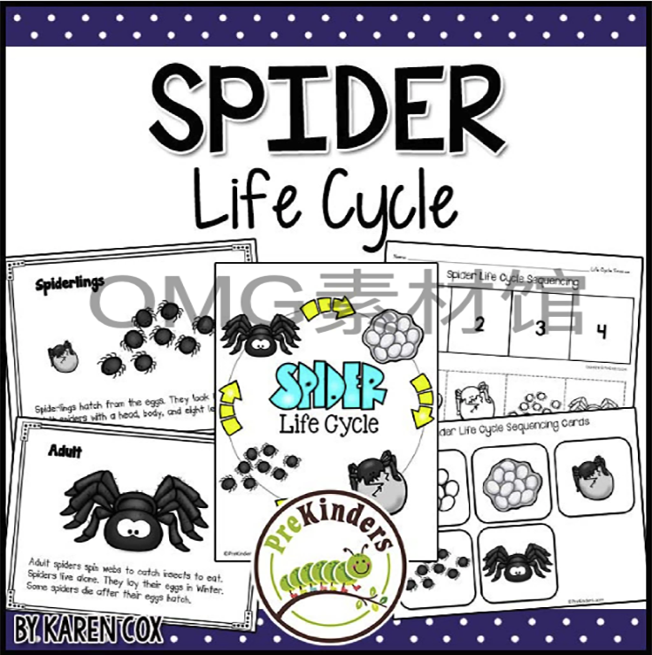 A01-07-2.Spider Life Cycle _ Fall Science _ Preschool Pre-K_cover.png