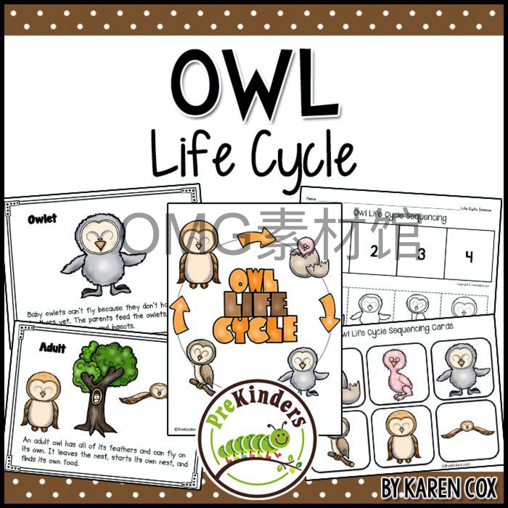 A01-07-1.Owl Life Cycle _ Fall Science _ Preschool Pre-K_cover.jpg
