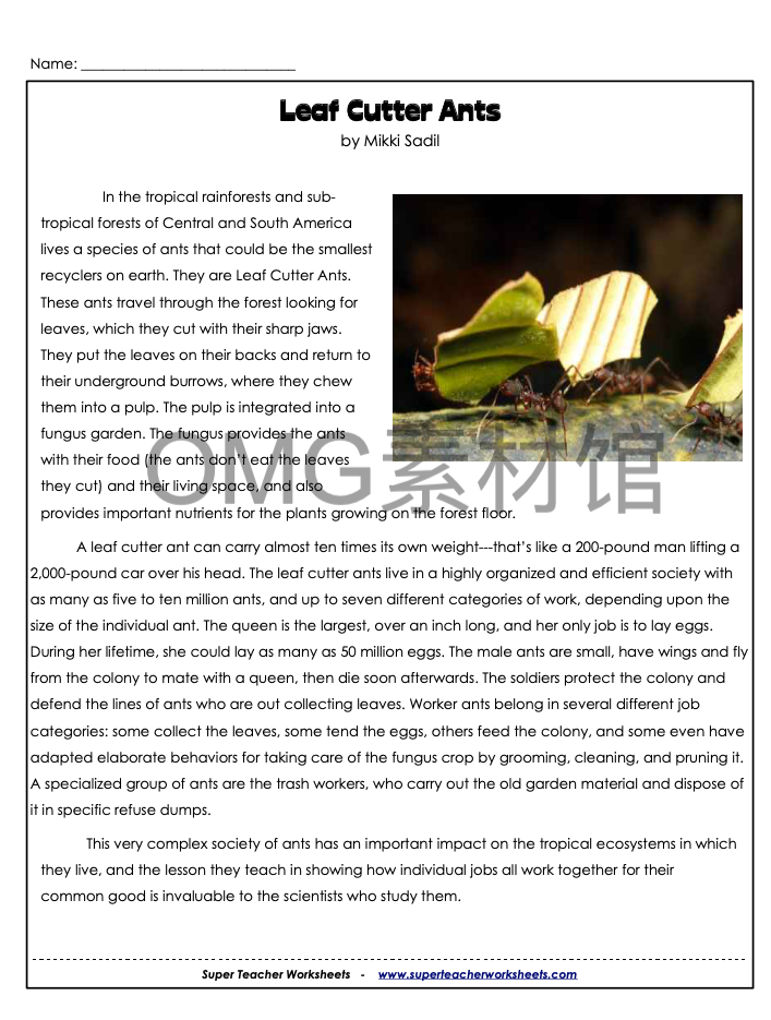 A01-25-6th Nonfiction_inside_01.png